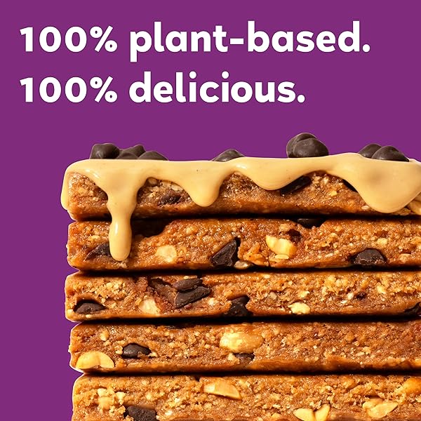 GOMACRO MACROBAR ORGANIC VEGAN PROTEIN BARS – PEANUT BUTTER CHOCOLATE CHIP (2.4 OUNCE BARS, 12 COUNT)