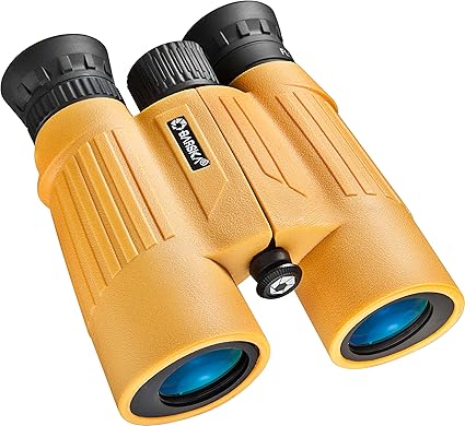 10x30 binoculars