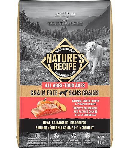 Kirkland Signature Turkey Meal and Sweet Potato Formula for Dogs