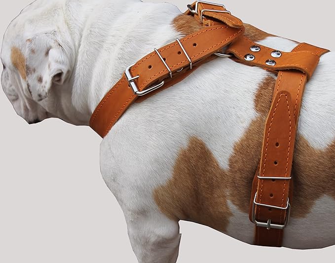 Tan Genuine Leather Dog Harness, Large. 35"40" Chest, 1.5