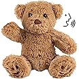 Play Brainy Breezy Beez Ultra Soft Plush Teddy Bear Stuffed Animal with One Press Play Voice Technology for 3 & Up - Unique B