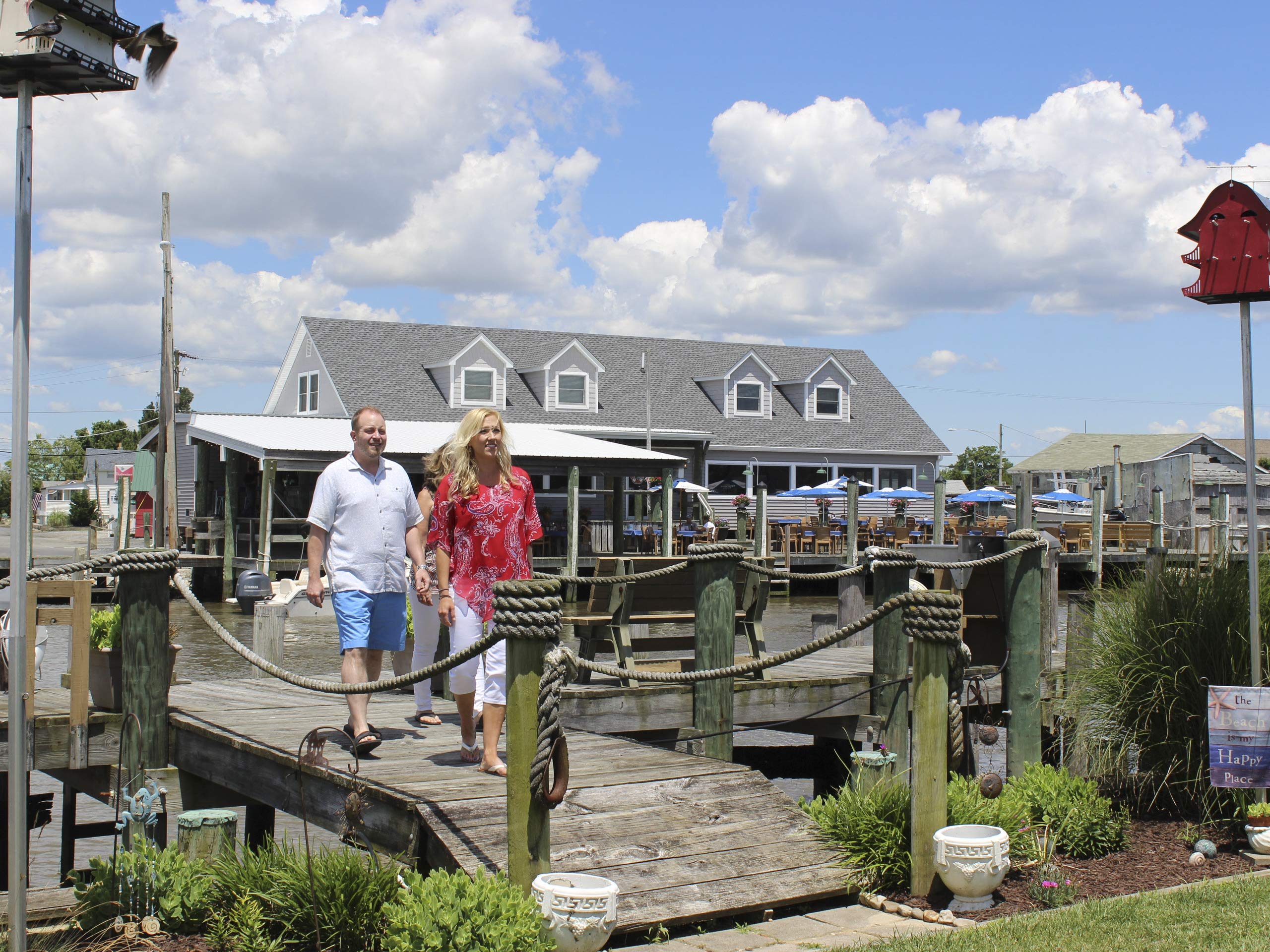 Watch Beachfront Bargain Hunt, Season 24 Prime Video