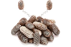 Lescli 24 Pcs Snow Natural Pine Cone Kit with Brown Iron Wires for DIY, 5.5-8cm Big Spruce Pine Cones - Rustic Pinecones Deco
