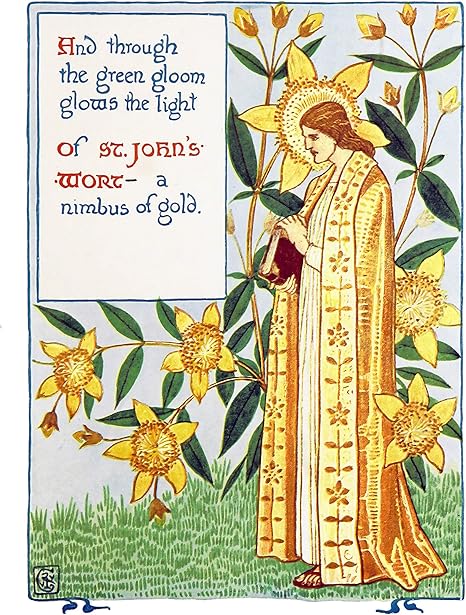 Amazon Tfh California 美しいファインアートプリント 子供部屋装飾 古いイギリスの庭の花のファンタジーのイラスト No 2 St Johns Wort 11x14 Inch Print アートフレーム ポスター オンライン通販