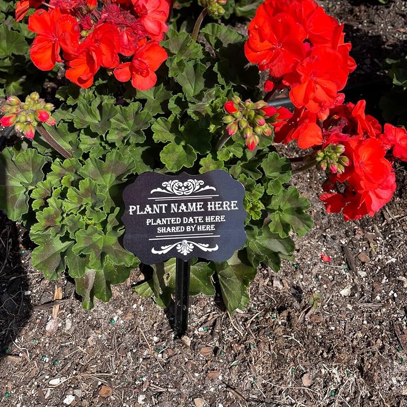 Custom all metal “your plant name” garden/plant/flower