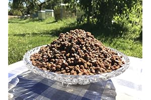 Fresh Organic Bee Bread, Naturally Fermented Pollen, Perga, 250g., 2025 Harvest