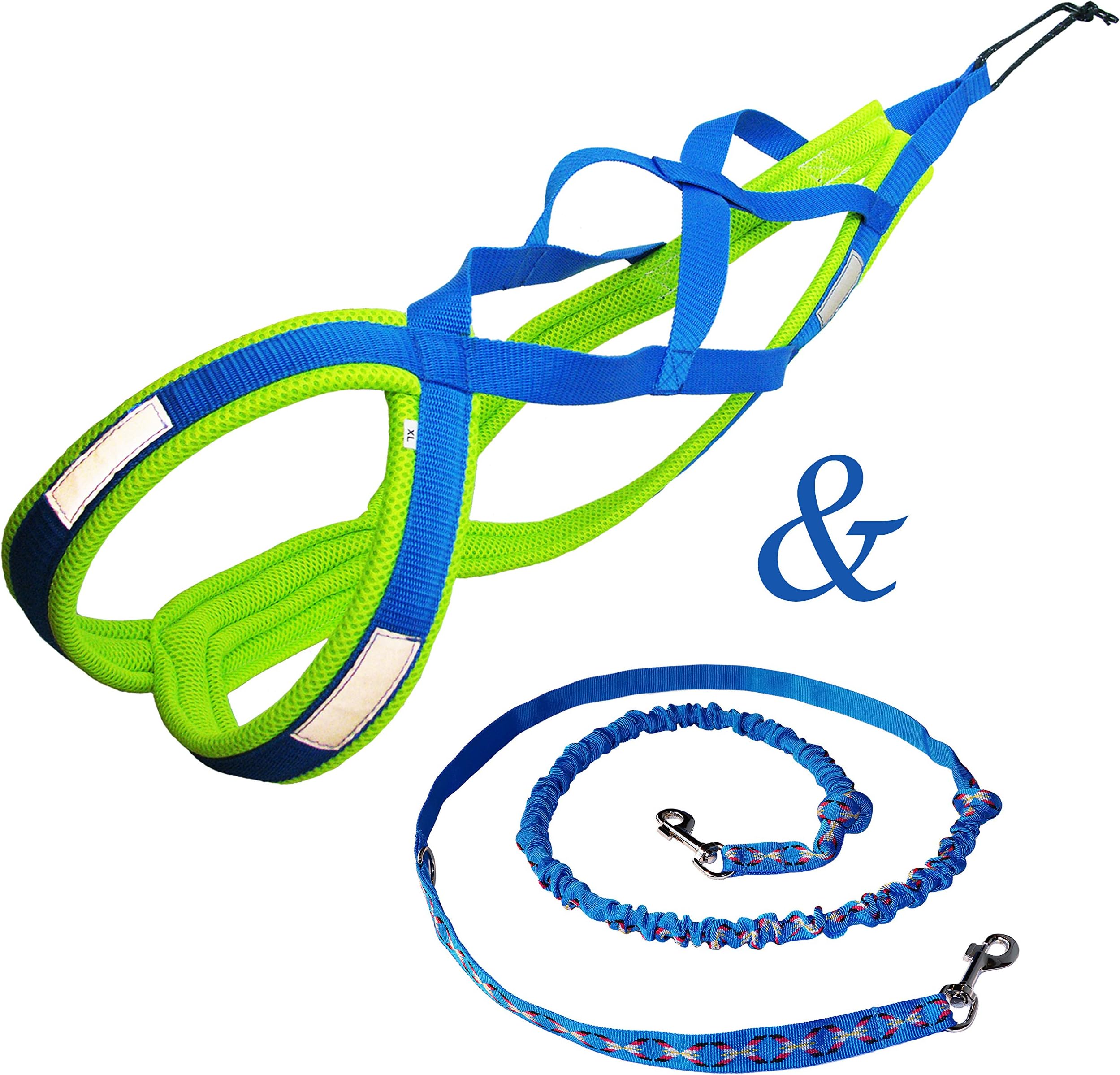 Northern Howl Weight Pulling Dog Harness, X-Back for Canicross, Sled, Scooter, Bike-, Ski-Joring, Including a Free Hands Leash… Blue neon Yellow
