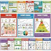 EggSun 16 Pcs Ecosystems Science Posters for High School Classroom Decorations, 11 x 16in Ecology Teaching Charts for Teachers Middle School Supplies Education Classroom Bulletin Board Wall Decor