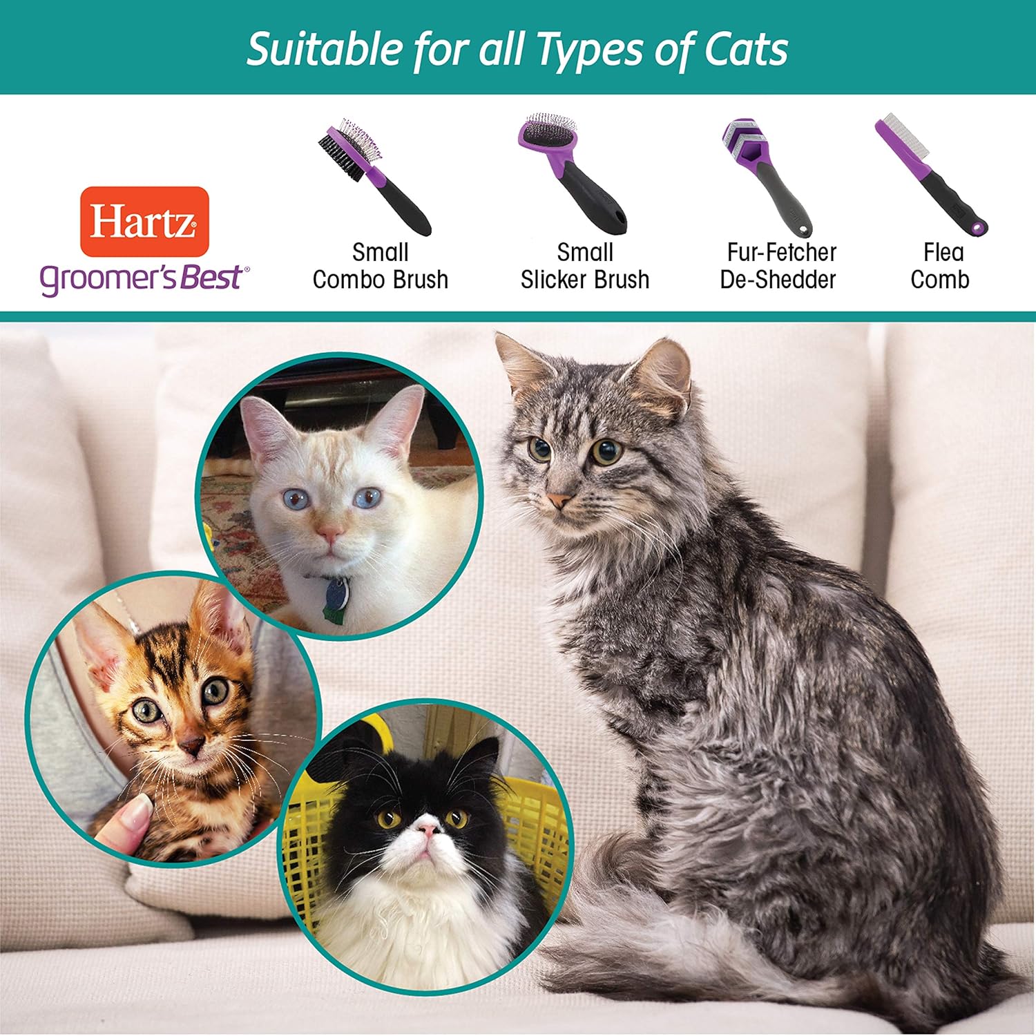 Hartz Groomer's Best Fur Fetcher De-Shedder Cat Brush : Pet Supplies