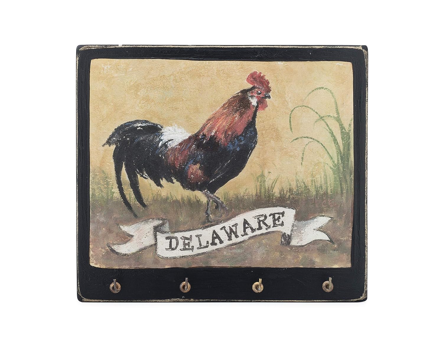 What Is The State Bird Of Delaware