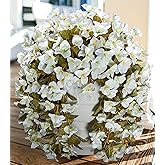 Bougainvillea Artificial Flowers Fake Plants for Outdoors Winter Decoration, 2 pcs Faux Long Trailing Vines UV Resistant Look Real White Silk Flowers for Outside Planter Front Door Porch Urn Yard Home