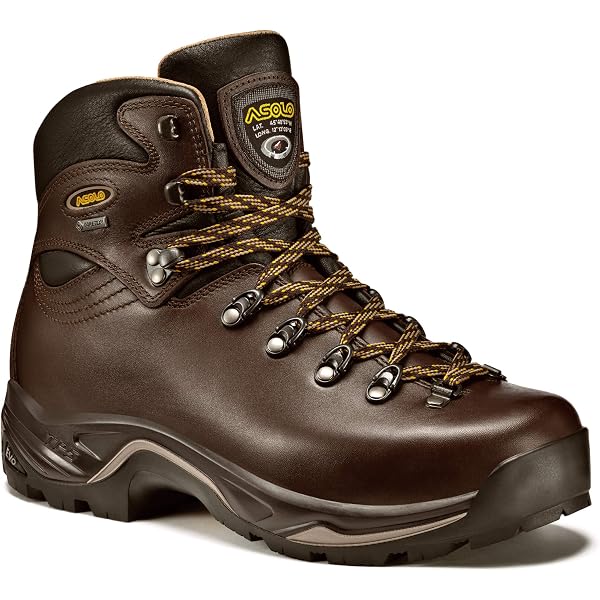 Amazon.com | ASOLO TPS 520 GV Backpacking Boot - Men display picture 3
