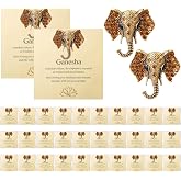 Hinly 30 Set Indian Return Gifts Bulk Women Brooch | Ganesh Chaturthi Gift, Ideal Pooja Return Gift for Diwali, Great for Wedding Housewarming Party