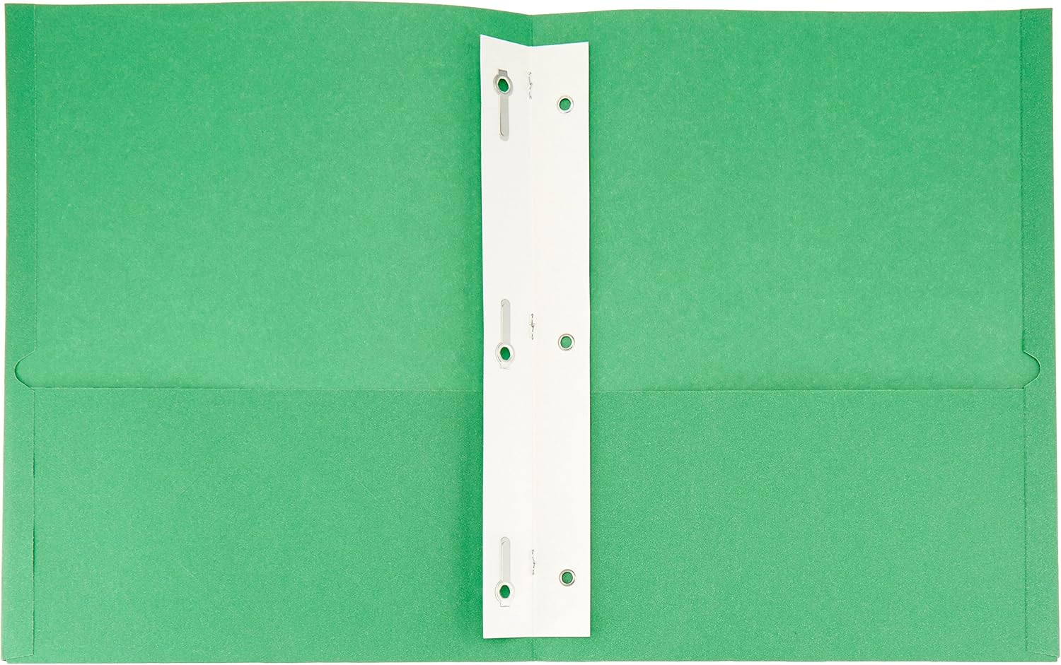 Basics Twin Pocket File Folders with Fasteners, 25-Pack : Office Products