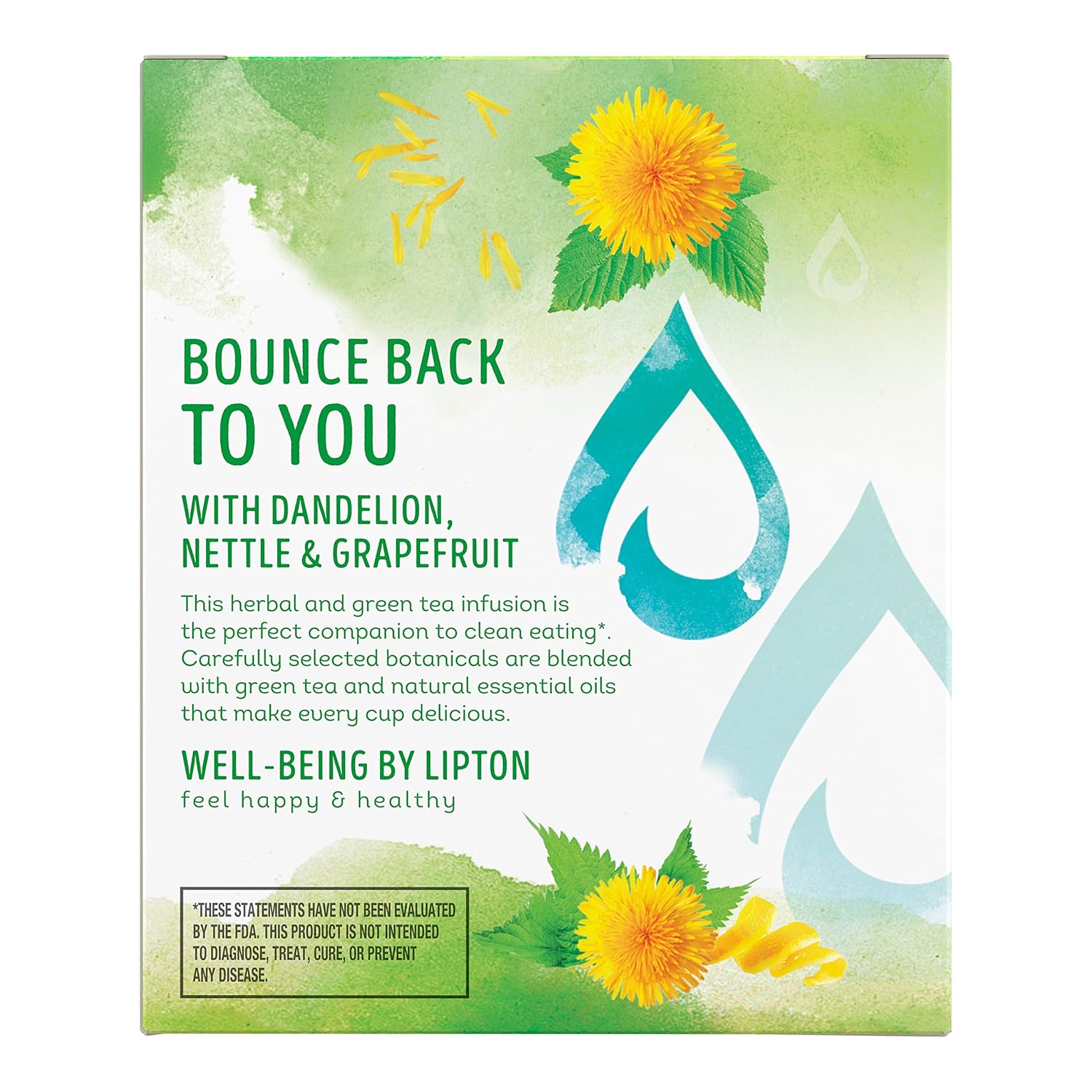 Lipton Herbal Supplement with Green Tea, Detox 15 ct, Pack of 4 : Grocery & Gourmet Food