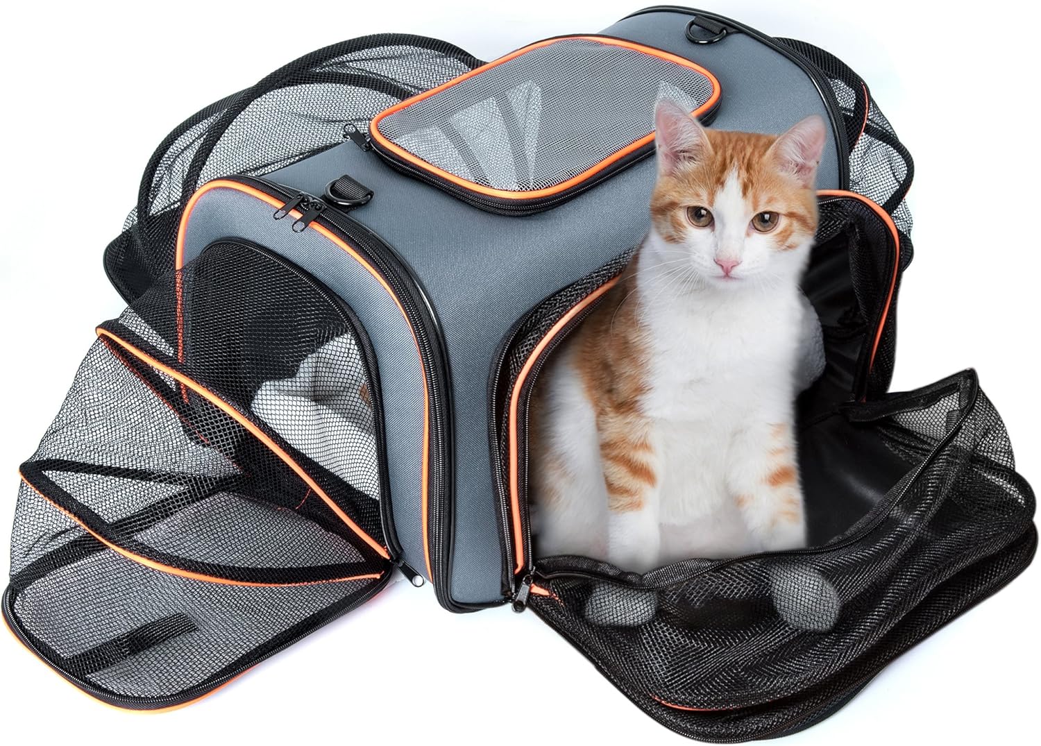 expandable pet carrier airline approved