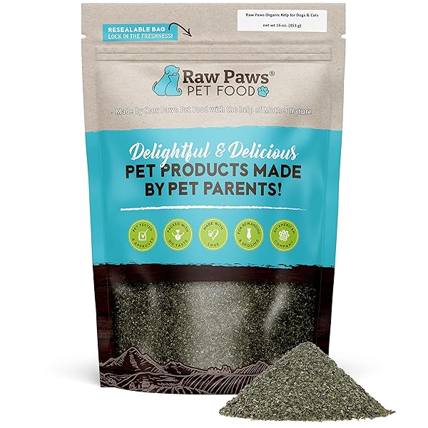 RAW PAWS ORGANIC KELP POWDER FOR DOGS &...