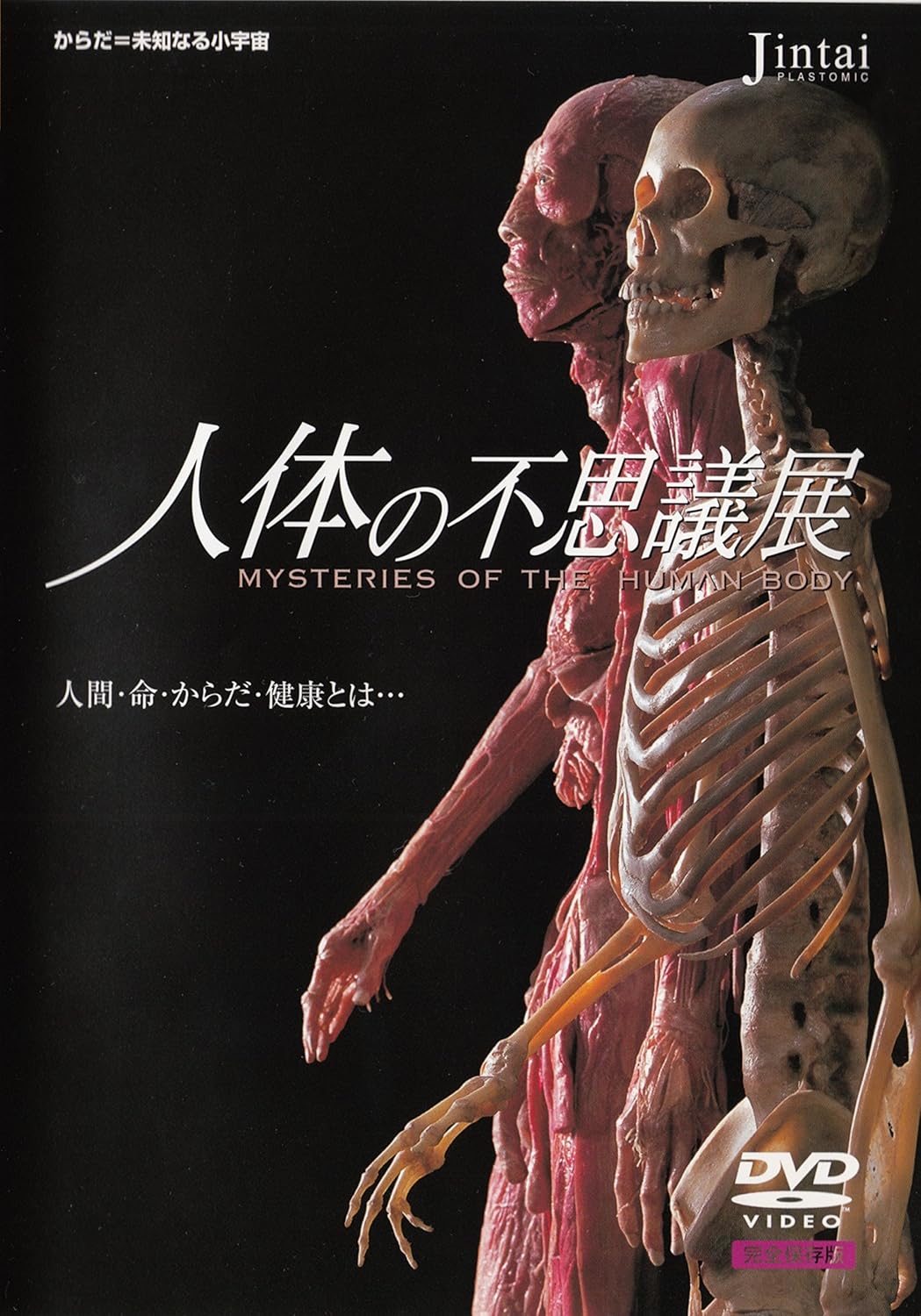 Amazon Com 人体の不思議展 Dvd Movies Tv Amazon Com 人体の不思議展 Dvd Movies Tv