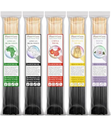 Amazon.com: Musky Incense Sticks Variety Set Bulk 500 Pack Sampler