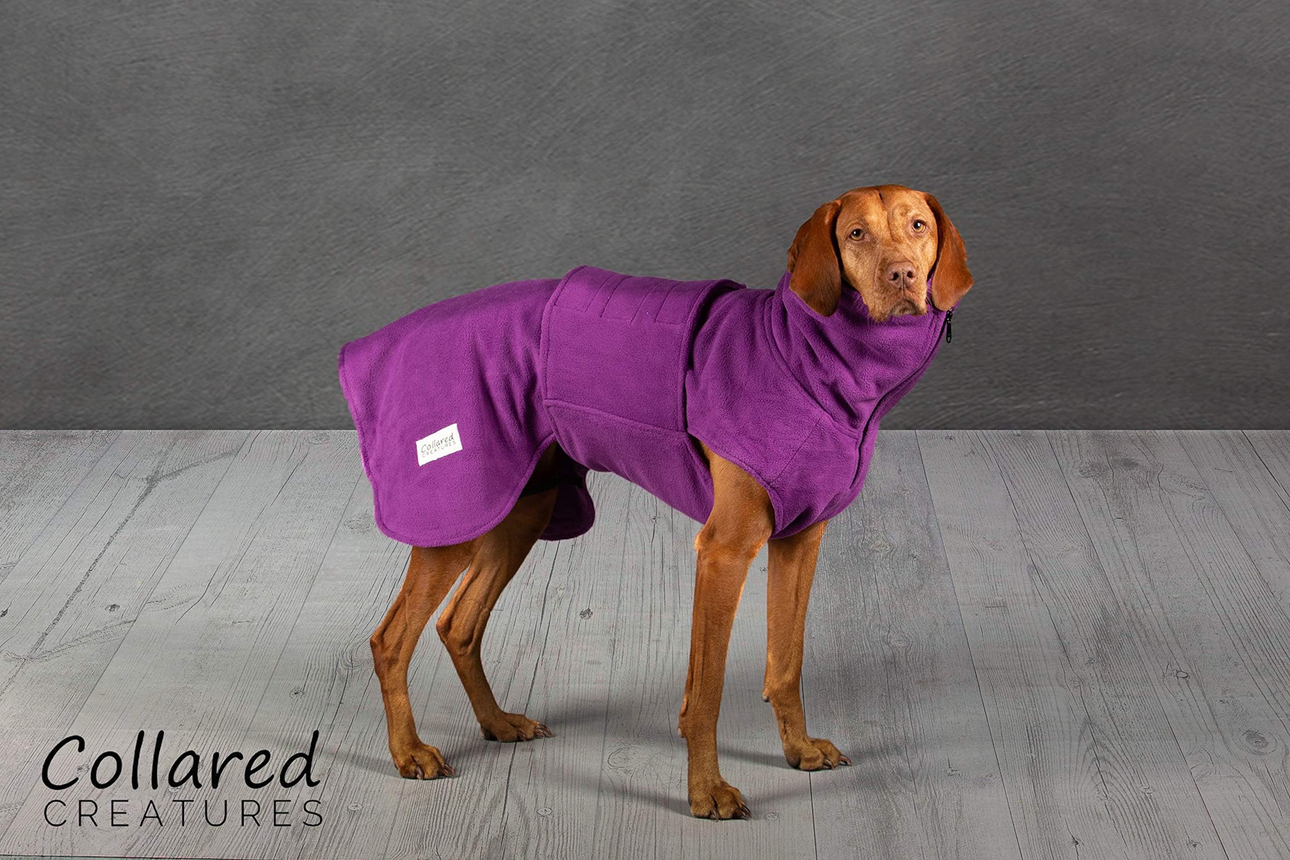 Collared Creatures Dog Drying Coat, Towling-Microfiber Lined Fleece Jacket Purple (available sizes XS, S, M, L, XL, XXL) Large