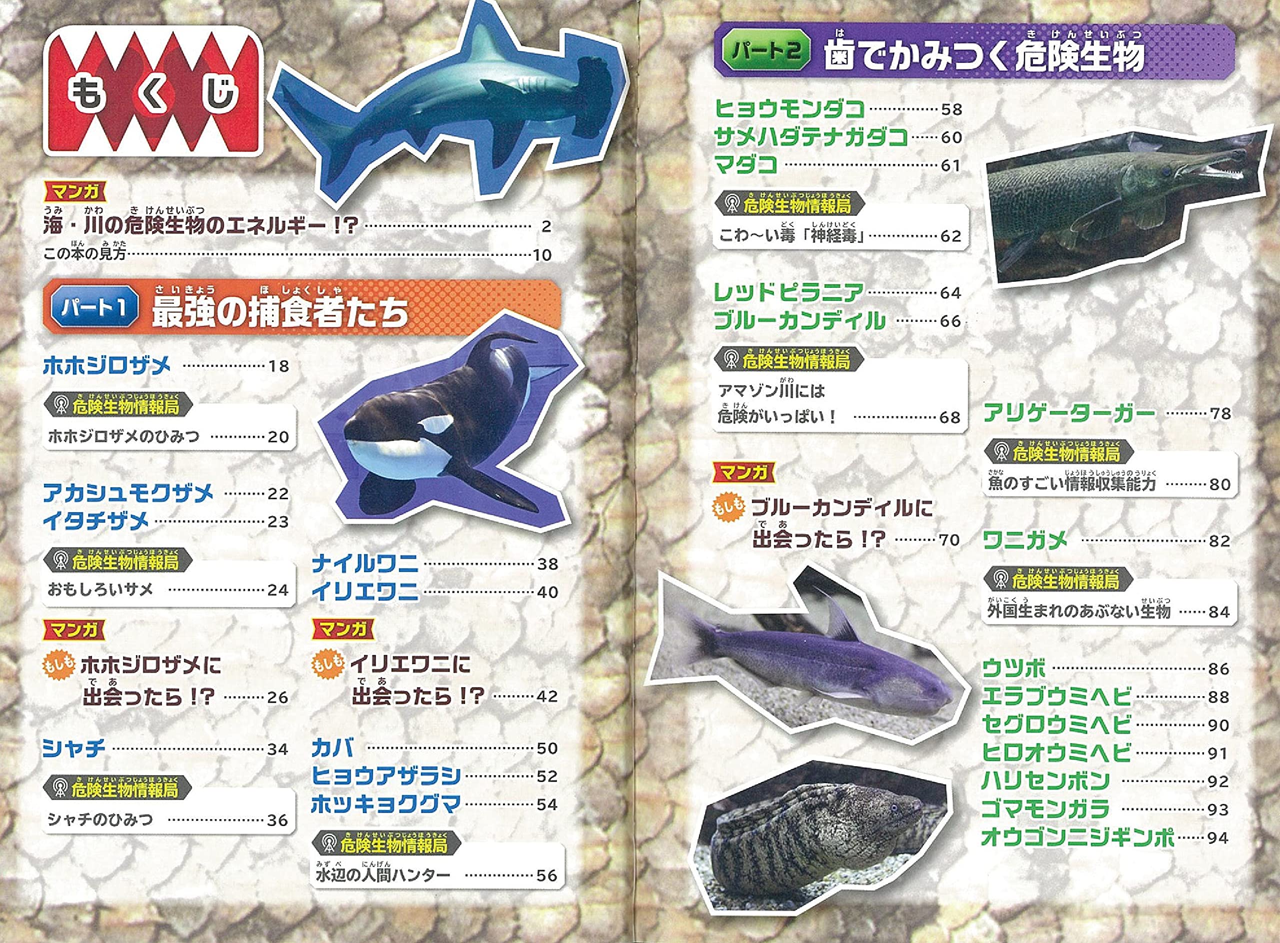 海 川の危険生物 スペシャル 今泉忠明 本 通販 Amazon