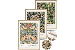 UPWOIGH Framed Wall Art(No Plexiglass), William Morris Wood Canvas Wall Art, Strawberry Thief Wall Art, Birds Botanical Prints Poster,16x12in Cotton Pattern Vintage Wall Decor Aesthetic for Living