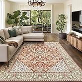 6x9 Area Rugs for Living Room, Machine Washable Low Pile Rug, Non Slip Backing Boho Rugs for Bedroom, Printed Soft Vintage Ca