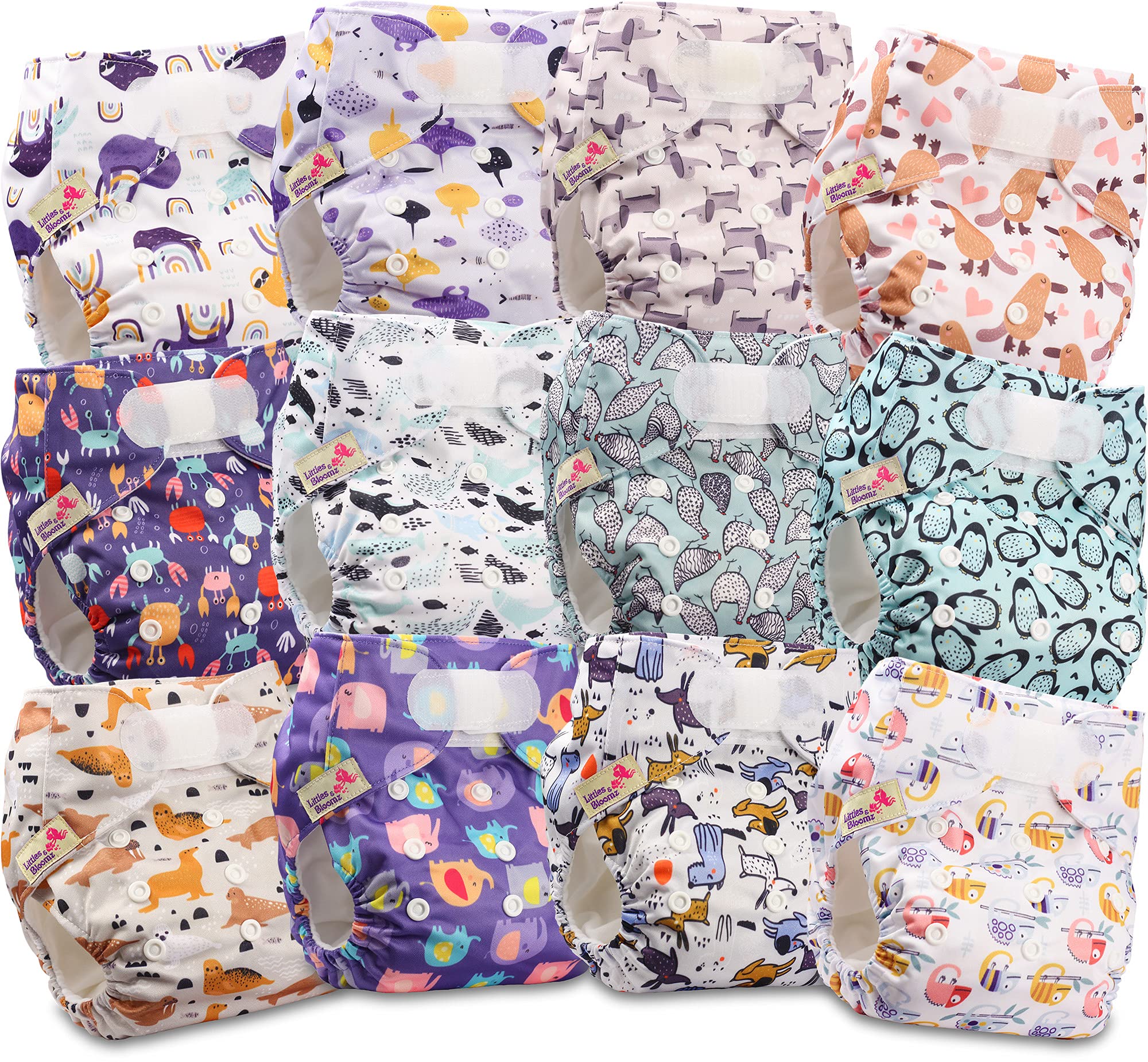 Littles and Bloomz Baby Reusable Pocket Nappy Cloth Diaper, Standard Hook-Loop, 12 Nappies, FLV2-1202
