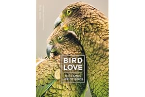 Bird Love: The Family Life of Birds