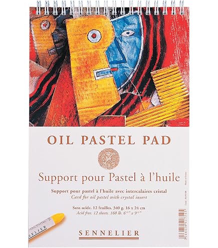 Caran D'Ache Pastel Oleoso Neopastel 24 Cores | Amazon.com.br