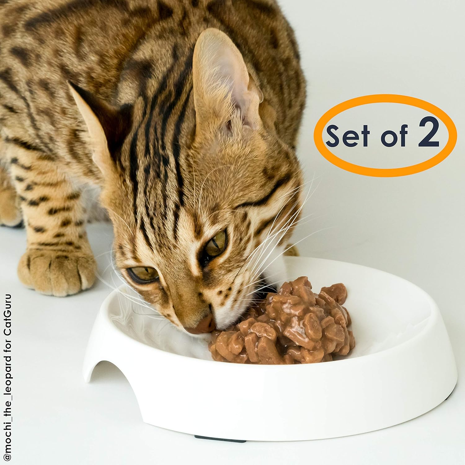 best cat dish for whisker fatigue