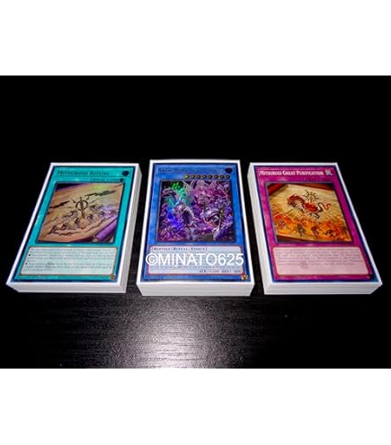 Amazon.com: Yu-Gi-Oh! Yugioh Complete Lunalight Deck Tournament Ready!  Liger Dancer Gold Leo : Toys & Games