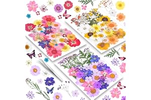 153PCS Dried Pressed Flowers for Resin - YouthBro 4 Packs Real Nature Mixed Colored Flowers Butterfly Stickers Set for DIY Jewelry Candle Soap Vase Making Nail Card Scrapbook Art Craft Floral Decors