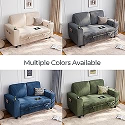 LINSY HOME Loveseat Sofa with Storage - Comfy Plush