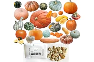 Mixed Seeds 50 Pumpkin and Winter Squash Mix Seeds Non-GMO 25 Varieties Delicious Grown in USA. Rare, Super Profilic and Delicious HARLEY SEEDS