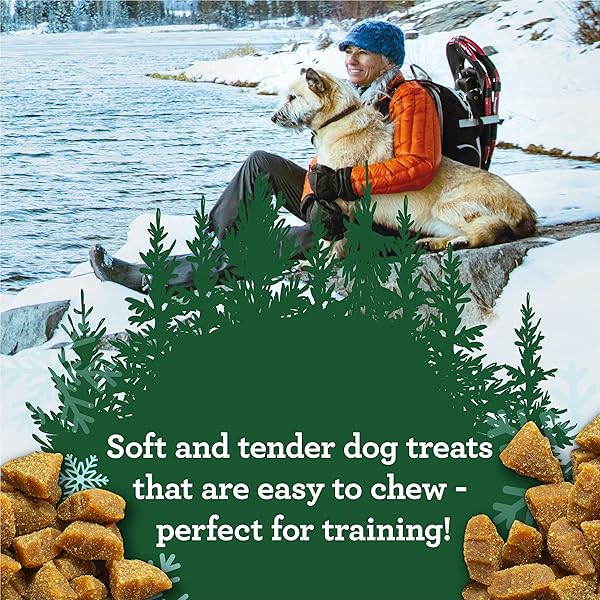 ZUKE’S MINI NATURALS DOG TRAINING TREATS FOR DOGS OF ALL SIZES, PET TREATS MADE WITH REAL TURKEY AND CRANBERRY, 5 OZ. RESEALABLE POUCH – 5 OZ. BAG