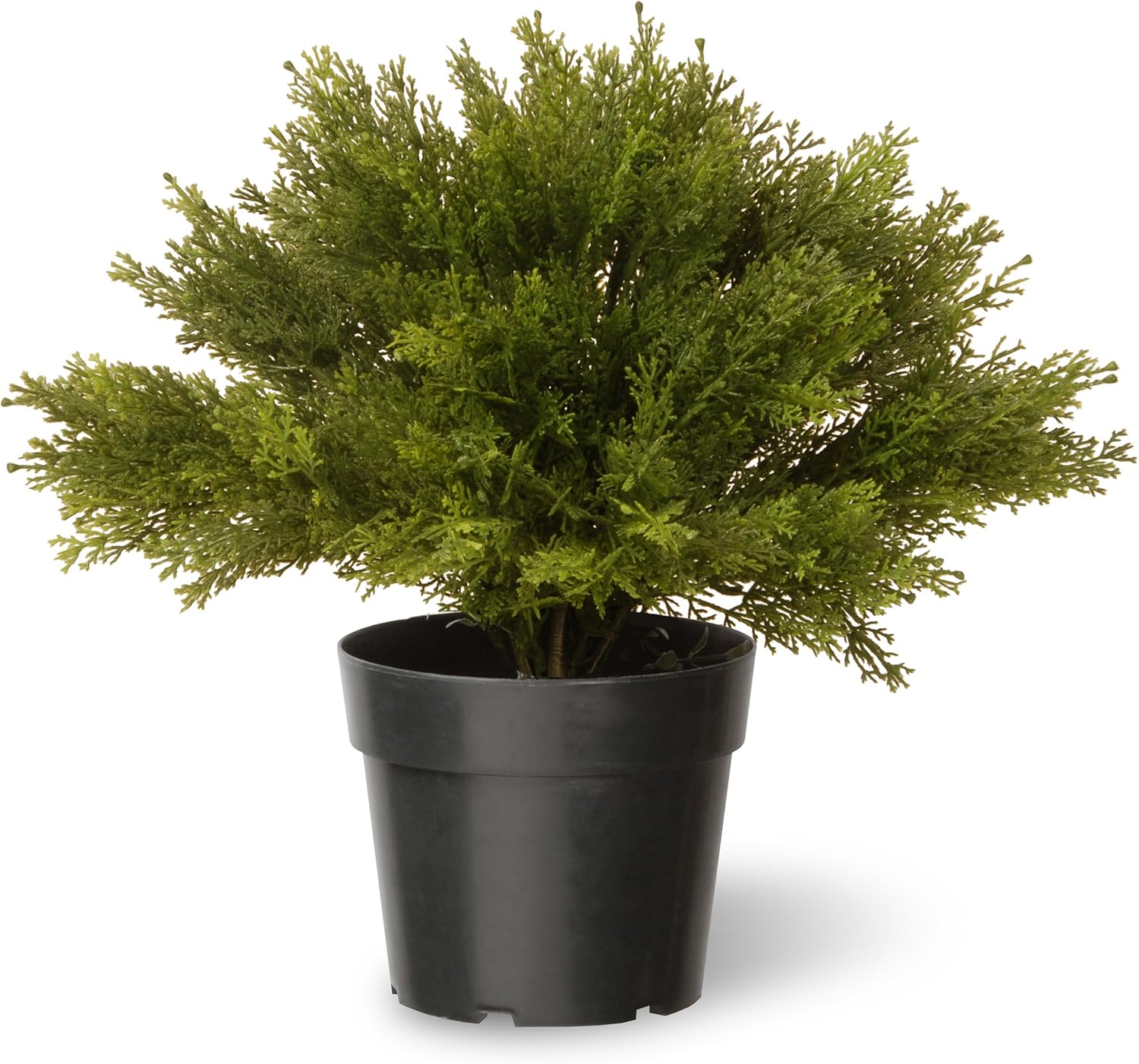 National Tree Company Artificial Shrub Includes Pot Base Globe Juniper-15 Inch, 15 Inch, Green
