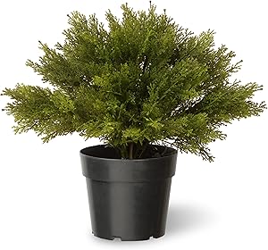 National Tree Company Artificial Shrub Includes Pot Base Globe Juniper-15 Inch, 15 Inch, Green