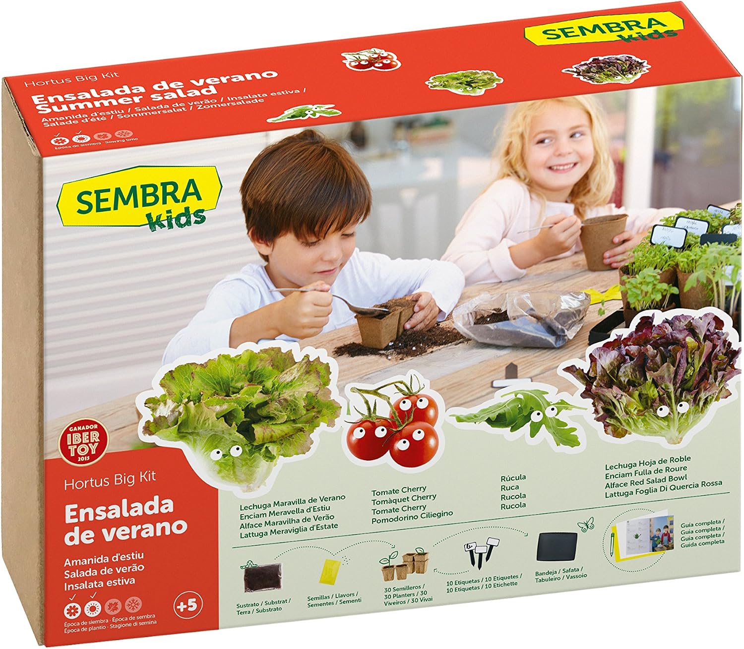 SEMBRA - juego educativo, Kit huerto Ensalada de verano: Amazon.es ...