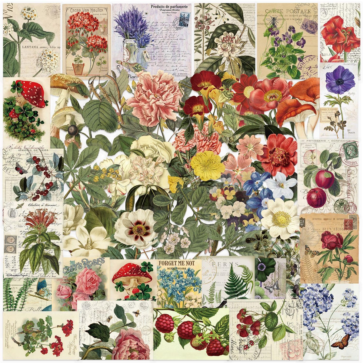 50Pcs Vintage Plant Stickers Pack, Waterproof PET Aesthetic Flowers & Nature Stickers for Scrapbook, Journaling, Kindle Case, Laptop, Water Bottle, Skateboard — image 1