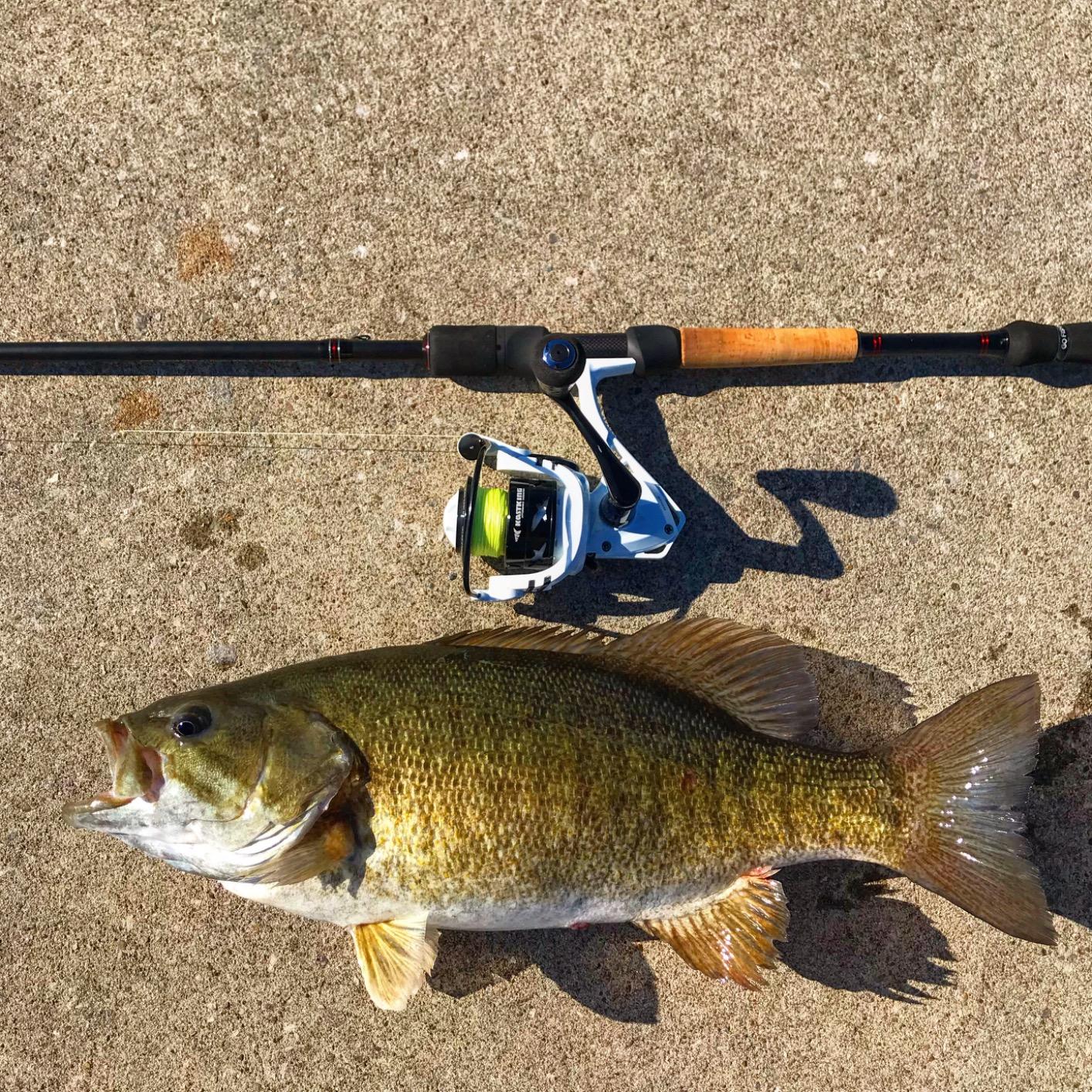 Fishing Combos Cadence Essence Spinning Rod Cadence Cs10 Cadence