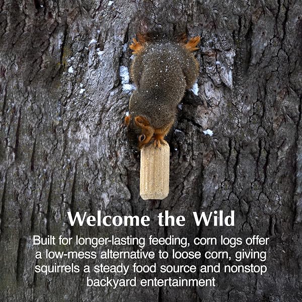 C&S SWEET CORN SQUIRRELOG, 6-PACK REFILL