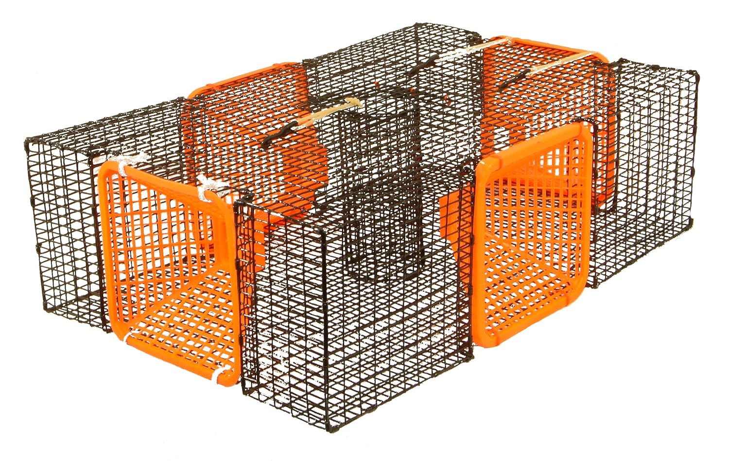 Protoco 19 x 24Inch Shrimp/Crawfish Trap Amazon.co.uk Sports & Outdoors