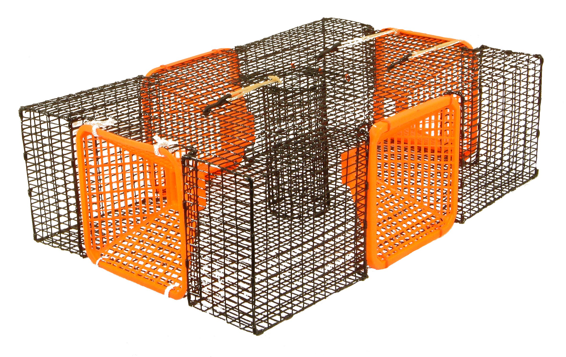 Protoco 19 x 24Inch Shrimp/Crawfish Trap Zvejo Tribuna