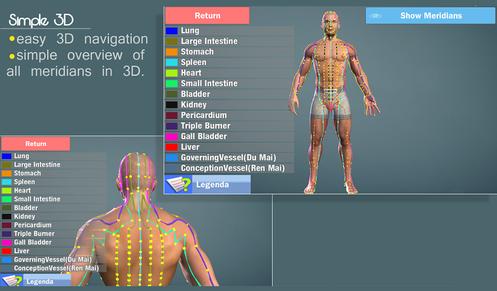 Easy Acupuncture