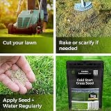 Garden Lawncare Guy ColdPro Winter Grass Seed 1kg Germinates at 5°C view 7