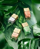 Nails.Inc Plant Power Nail Polish 14ml My In My O-Zone 73% Plant view 6