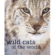 The Wild Cat Book: Everything You Ever Wanted to Know about Cats