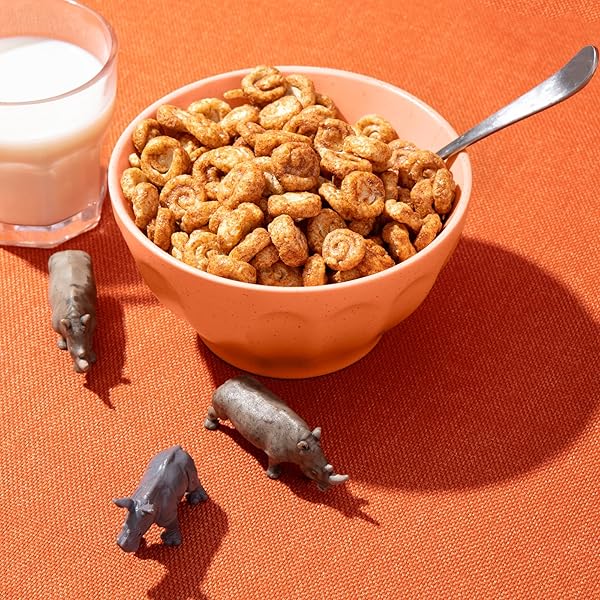 ENVIROKIDZ ORGANIC RHINO ROLLS CEREAL, 9.5 OZ (PACK OF 1), CINNAMON BUN, GLUTEN FREE, NON-GMO, BY NATURE’S PATH