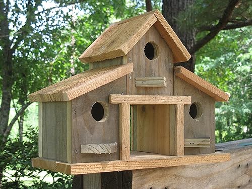 Amazon Com Birdhouse Rustic Barn Birdhouse 10x13x6 Barn Birdhouse